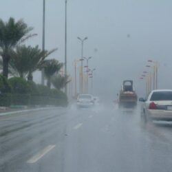 “الأمن السيبراني” يُصدر تحذيرًا عالي الخطورة بخصوص تحديثات لـ”آبل”