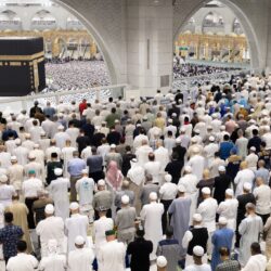 صندوق التنمية الزراعية يطلق خدمة إخلاء الطرف للمتوفين