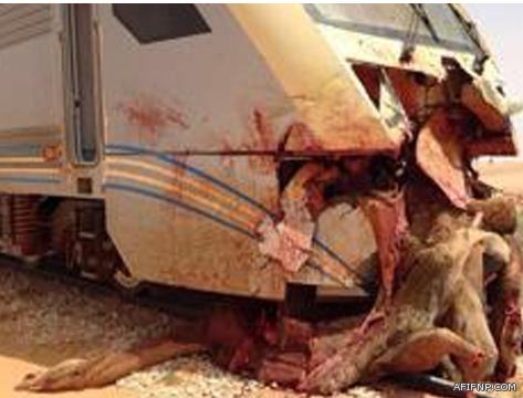 إسرائيل تعاقب “السلطة” بعد مخاطبتها جهات دولية