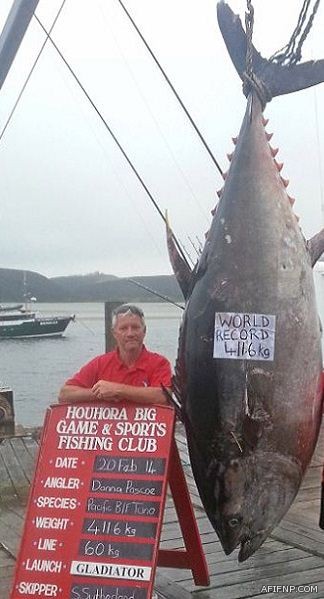 هيئة الاستثمار: 37% من تراخيص الأجانب تستخدم للتحايل