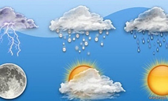 بلدية عفيف تغلق مطعم مشهور في وجبة الفول بعد وجود حشرة الصرصور في الاكل