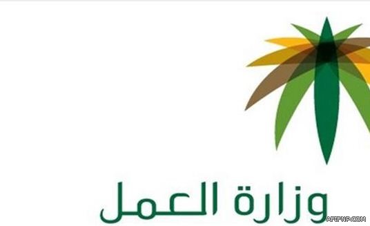 بنك التسليف: أقساط القروض الجديدة بين 400 إلى 1800 ريال