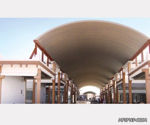 صافي: شروط الحل السياسي غير متوفرة حاليا