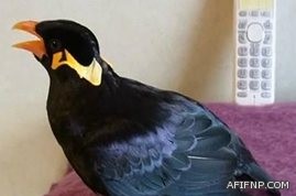 المملكة تنفق 66 مليار دولار على التعليم.. وفجوة بين المهارات واحتياج السوق