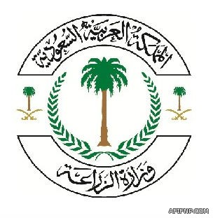 الأمن العام يفتح باب التسجيل في عدد من الرتب