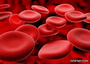 العدل  توجّه بالبدء في إفراغ الدفعة الأخيرة من أراضي المنح