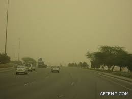 مديرو الزراعة يناقشون خطة مكافحة الجراد بالمملكة الاثنين القادم