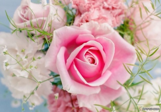 بالاسماء تعليم عفيف يدعو عدد من منسوبيه لاستلام مستحقاتهم المالية