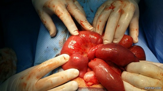 ضبط مواد منتهية الصلاحية ومخالفات تجارية في جولة لـ”تجارة عفيف”