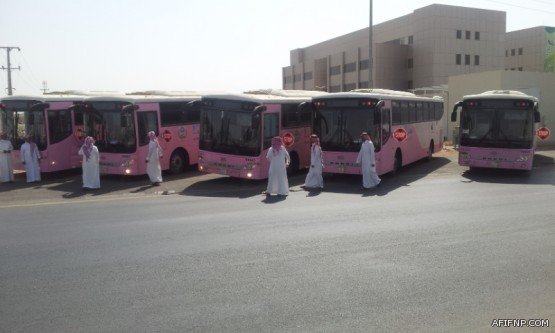 بالاسماء تعليم عفيف يدعو بعض متعهدي نقل الطلاب لاستلام مخصصاتهم المالية