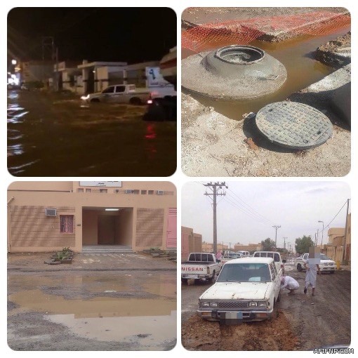 مواطن يثأر لمواشيه ويقتل ذئباً افترس أربعة رؤوس منها