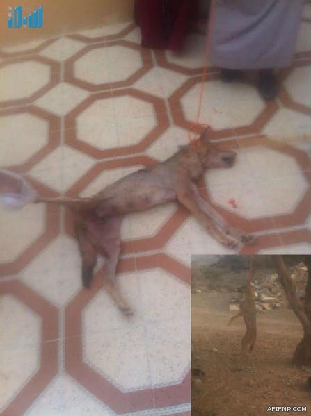 دورة تدريبية لطلاب المرحلة الثانوية بمجمع اللنسيات