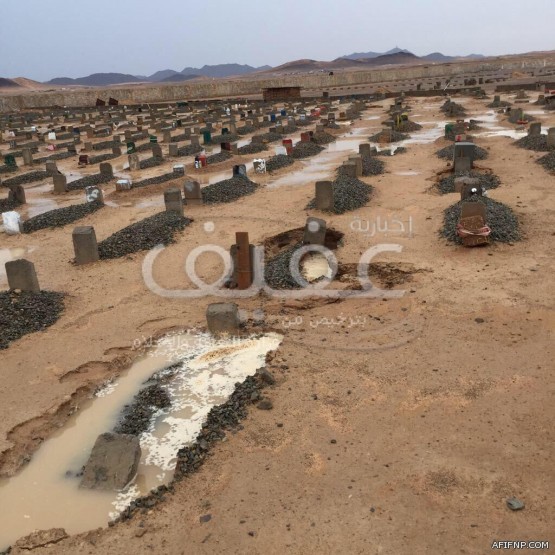 «الصحة» تطبق خطة طوارئ في المناطق الجنوبية