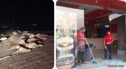 طرح مناقصة إنشاء مستشفى لعفيف بـ “200” سرير