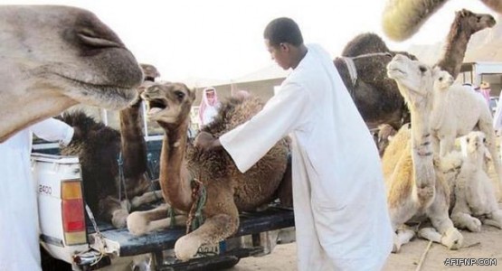 الحبس شهرين ونصف و750 جلدة للمتحرشين بـ”فتاتي كورنيش جدة”