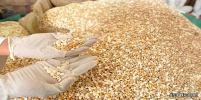 فرصة اعلانية لمرشحي المجلس البلدي بمحافظة عفيف