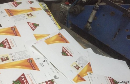 إحصائية: 700 مليون ريال حصل عليها المتسولين في المملكة خلال عام