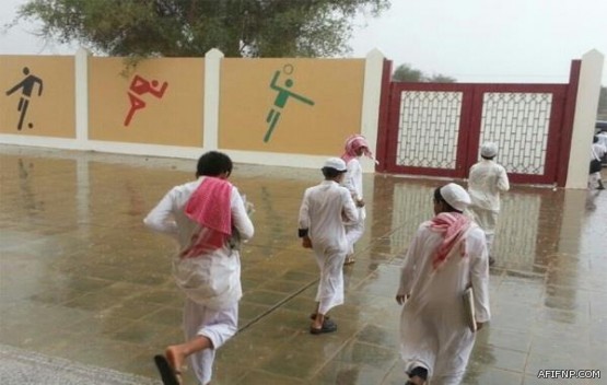 “المعلمي”: اعتذار إيران لا يعني لنا شيئاً.. ونريد منها أفعالاً لا أقوالاً (فيديو)