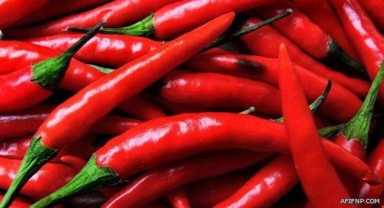 خادم الحرمين الشريفين يوجه باستضافة 250 شخصية إسلامية بارزة لأداء مناسك العمرة