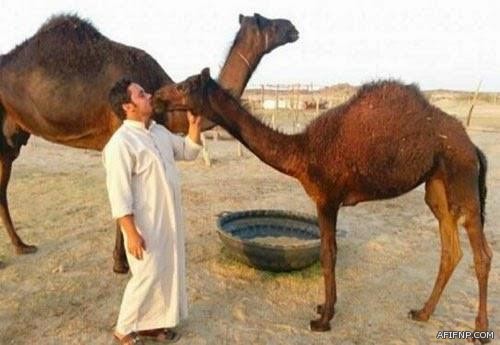 وكيل رجل أعمال شهير يقاضي شرطة جدة والادعاء العام ويطلب تعويضاً 13.5 مليون ريال