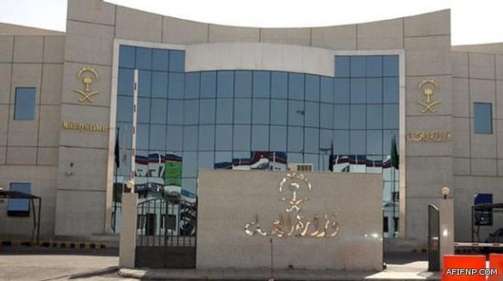 «الشوري» يوافق بالأغلبية علي استقدام «المنزلية» من النيجر وجيبوتي