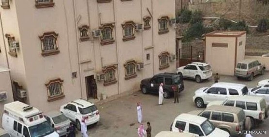 شاهد .. خريطة بالحدود والتسميات المقترحة لأحياء عفيف