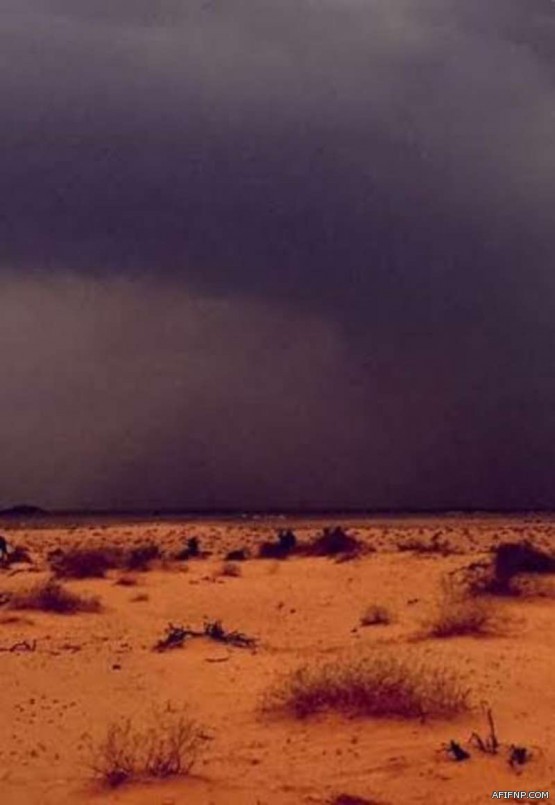 بالصور …مدير التعليم بعفيف يزور إبتدائية ومتوسطة بيضاء نثيل ويفتتح ركن شهداء الواجب