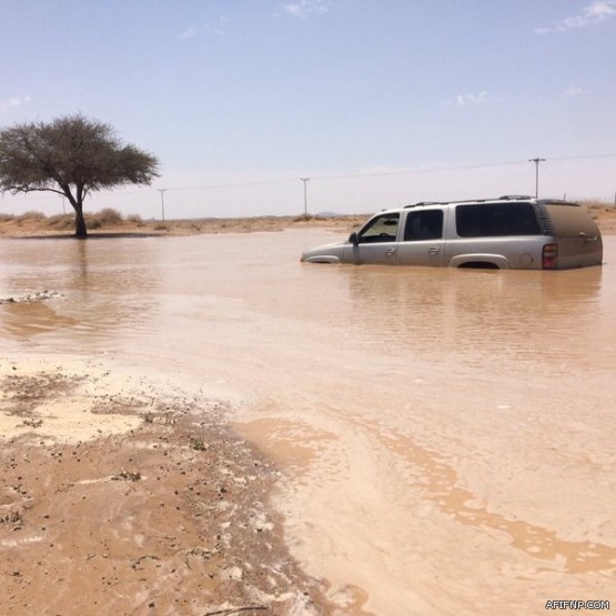 مصرع مواطنة بطلق ناري على يد طفلها