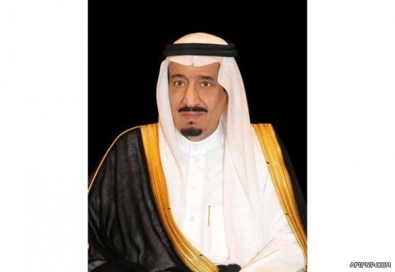 المخابرات الألمانية تتهم روسيا بالهجوم الإلكتروني على «النواب»