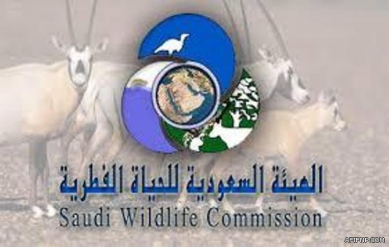 كاتب يطالب بتفكيك وزارة الصحة وتحويلها إلى منظم للخدمة بدلا من مقدم لها