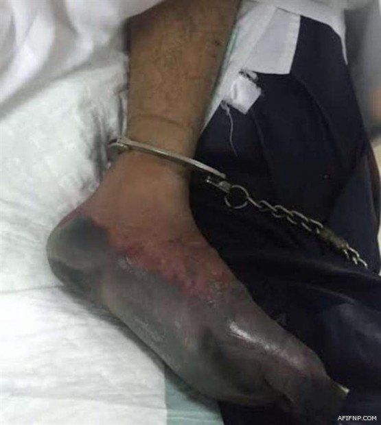 “تعاوني عفيف” يعلن عن أسلام سبعة أشخاص