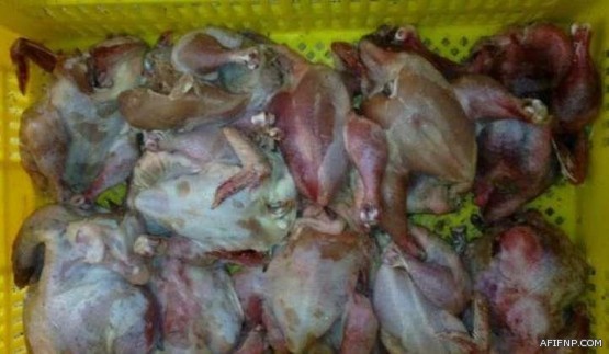 المملكة ترحب بعودة الأمور إلى نصابها في تركيا