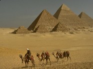 تكليف بن حميان مديرا للهلال الأحمر بعفيف