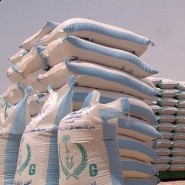 دوري أبطال آسيا : الأهلي يسحق الجزيرة الإماراتي بخماسية و الشباب يسقط أمام العين الإماراتي