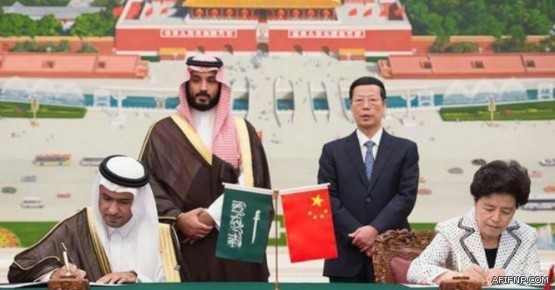 مسؤولة بوزارة النقل: هذه هي الوظائف المتاحة للسعوديات بالوزارة بعد افتتاح الفروع النسائية