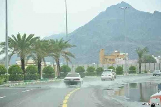 وزيرا التجارة والطاقة يبحثان مع رئيس “تويوتا” توطين صناعة السيارات وقطع الغيار