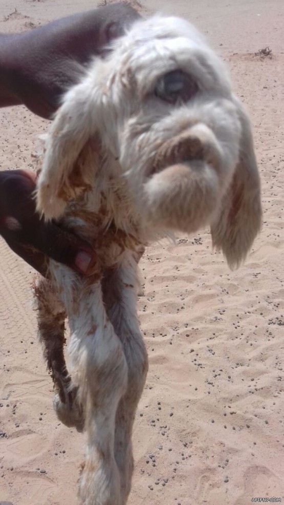 حالة الطقس المتوقعة اليوم الأحد في المملكة