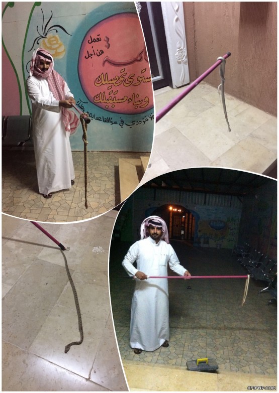 ربط “مؤسسة التدريب” بوزارة التعليم.. وتعيين “العيسى” رئيساً لمجلس إدارتها