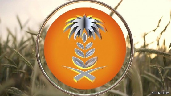 لجنة بـ”الشورى”: “الإسكان” لم تسلم إلا 1% من الوحدات السكنية المطلوبة منها