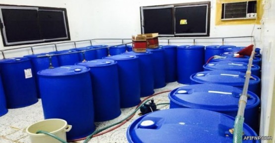 السياحة تخصص صندوق تبرعات لترميم المساجد التاريخية بالمدينة المنورة