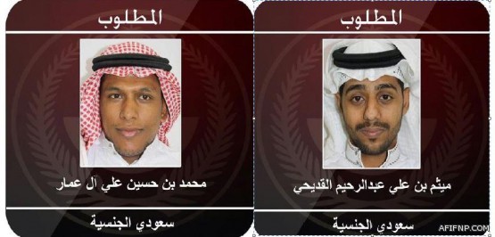 أمر ملكي بإعفاء وزير المالية من منصبه