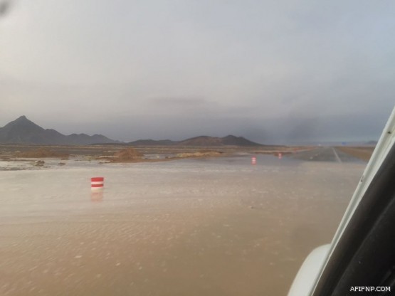 روسيا تصطدم بالبرتغال وألمانيا تتحدى تشيلي في كأس القارات