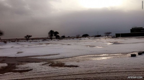 جامعة شقراء تعلق الدراسة غداً الاثنين في كلياتها