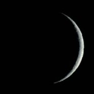 ملاك وايتات يبيعون مياه منازلهم