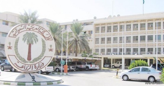 التعليم تمدد رفع قبول الطلبات للمتقدمين على الابتعاث الخارجي