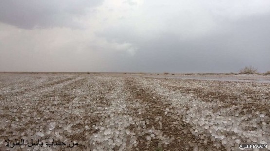 حادث مروري بين عدة سيارات بموكب أمير الرياض