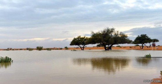 انطلاق التمرين الجوي السعودي السوداني المشترك (الدرع الأزرق1)