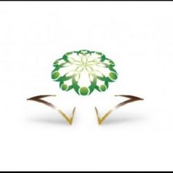 “واتساب” تنوي دخول سوق الدفع الإلكتروني