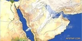 وزارة العمل تتجه لتأنيث قطاع بيع وتنسيق الزهور