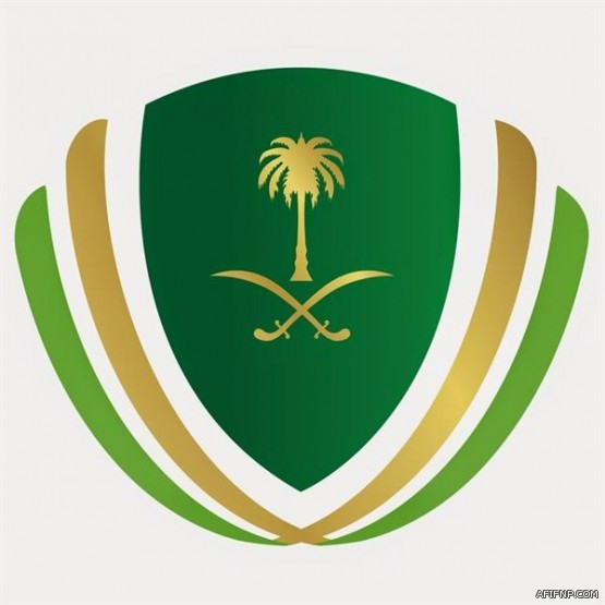 طيران “أديل” يحلق في سماء المملكة بدءاً من اليوم الوطني